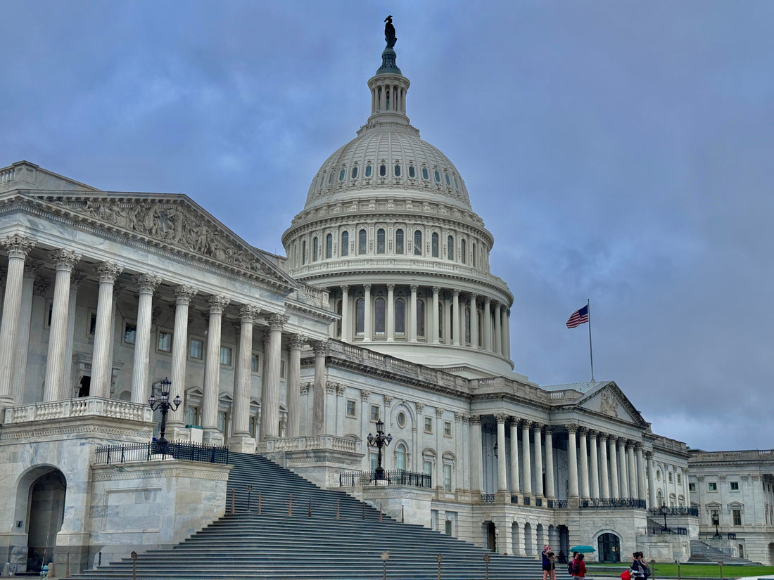 Rainy Day Adventure: Washington D.C